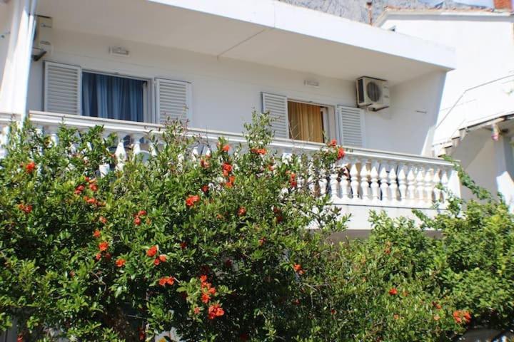 Apartments Zika Promajna Kültér fotó